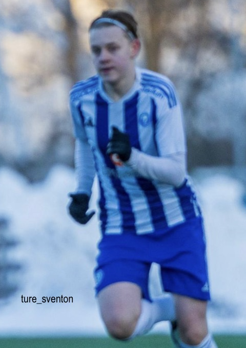 Julius Mikkola